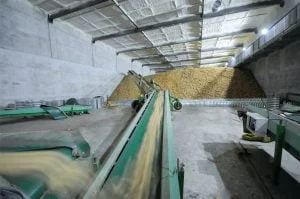 Potato Warehouse