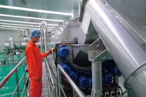 Potato Flakes Production