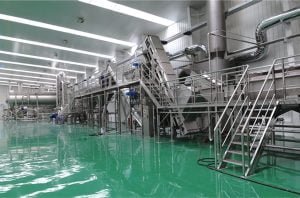 Potato flakes manufacturer