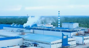 hojuelas patata Xuechuan